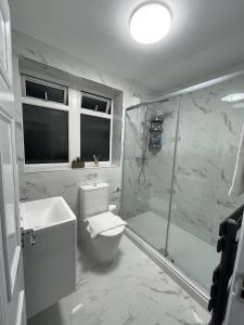 伦敦Deluxe Apartment - Next to Kings Cross - Eurostar & Euston Station的白色的浴室设有卫生间和淋浴。
