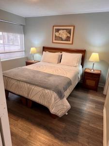 圣地亚哥Isabel Suites Vitacura的一间卧室配有一张带2个床头柜的大床