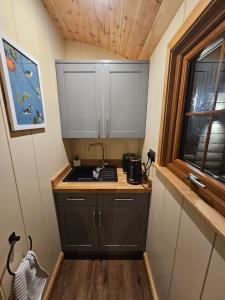 斯伯丁Rectory Roost的一个带水槽和窗户的小厨房
