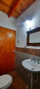 吉亚迪诺镇Casa V.Giardino pileta y cochera的一间带卫生间和水槽的浴室