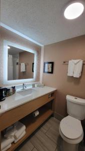 兰辛Ramada by Wyndham Lansing Hotel & Conference Center的一间带水槽、卫生间和镜子的浴室