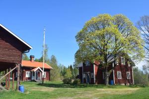 卢德维卡Charming renovated seventeenth century cottage的前面有一棵树的老房子