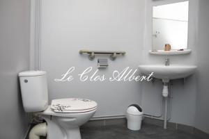 卢丹Le Clos Albert的一间带卫生间、水槽和镜子的浴室