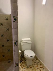 塔斯科·德·阿拉尔孔CasaBambu Taxco的一间带卫生间和淋浴的浴室