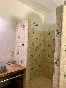 塔斯科·德·阿拉尔孔CasaBambu Taxco的浴室铺有绿色和白色瓷砖,设有淋浴。