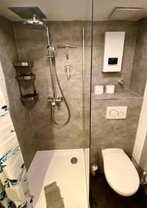 埃森Apartments Essen-Rüttenscheid的带淋浴、卫生间和盥洗盆的浴室