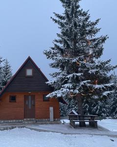 扎布利亚克克尔斯塔季奇简易别墅酒店的小屋配有圣诞树和野餐桌