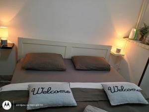 奥西耶克Hostel Lega House的小客房内的两张床和两个枕头