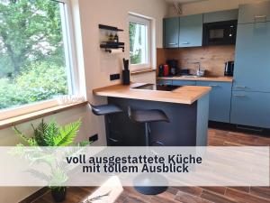 罗特Ferienhaus Rothsee-Oase ideale Ausgangslage mit tollem Ausblick, Sauna und privatem Garten的厨房配有蓝色橱柜、水槽和柜台。