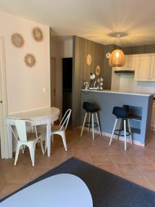 索马讷-德沃克吕兹appartement cosy avec climatisation réversible GOLF DE SAUMANE的厨房配有桌椅和柜台。