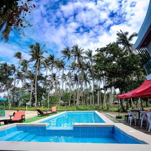 帕古普Saffire Beach Resort and Glamping的一个带椅子的游泳池,棕榈树