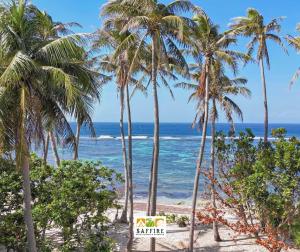 帕古普Saffire Beach Resort and Glamping的海滩上一棵棕榈树和大海