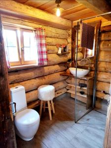 克拉根福Naturstammhaus Pauker的小木屋内的浴室设有卫生间和水槽。