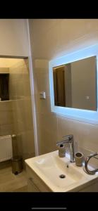 Antemurale - Luxury rooms,Plitvice Lakes的一间浴室