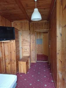 Wola PrzypkowskaGreen House的小屋内配有电视和床的房间