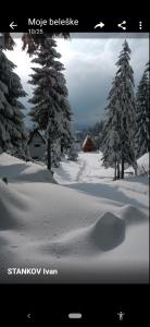 科帕奥尼克Kopaniktreskapotok15eu的一张有树木的雪地的照片