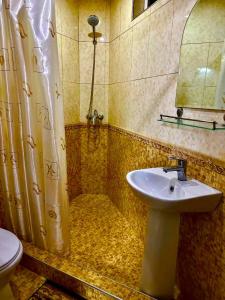 撒马尔罕Aisha Guest House的一间带水槽和淋浴的浴室