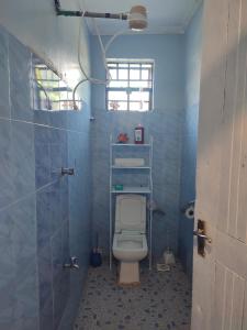 基苏木Beautiful and Affordable 1brm in Milimani的浴室设有蓝色墙壁内的卫生间