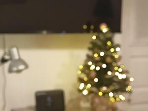 伊兹拉Smaragdas Paradise的客厅里的圣诞树,带灯