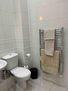 南安普敦Victorian Stay in Ocean village的浴室配有卫生间、水槽和毛巾。
