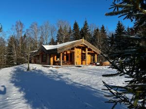 SemeliškėsDabintos slėnis的雪中树林里的小木屋