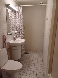 基律纳Kiruna accommodation Gustaf Wikmansgatan 6b villa 8 pers的浴室配有卫生间、盥洗盆和淋浴。