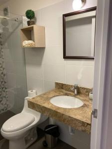 利马Apartamento en Barranco的一间带水槽、卫生间和镜子的浴室