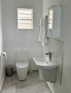 Nkhata BayNdau Lodge的白色的浴室设有卫生间和水槽。
