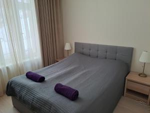 塔尔图Aleksi Apartments的一间卧室配有一张带紫色枕头的床