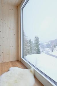 拉赫塔尔Arton Lachtal - Apartments Steiermark的客房设有带白色地毯的大窗户。