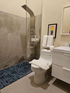 圣胡安KASA San Francisco 1的带淋浴、卫生间和盥洗盆的浴室
