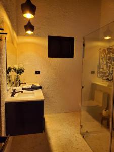 El TamarindoCASA ROMA Hotel Boutique的一间带水槽和镜子的浴室