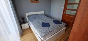 华沙Kasia house的小卧室配有带蓝色枕头的床