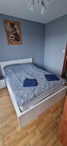 华沙Kasia house的一张带两个蓝色枕头的床
