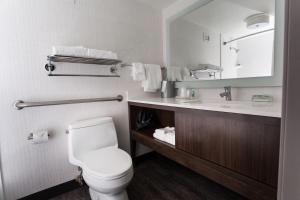 大急流城格兰德拉匹兹市中心假日酒店的一间带卫生间、水槽和镜子的浴室