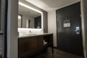 大急流城格兰德拉匹兹市中心假日酒店的一间带水槽和大镜子的浴室
