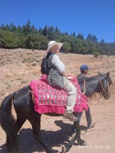艾兹鲁Hotel des cedres,azrou maroc的骑着马的女人和骑着马的男人