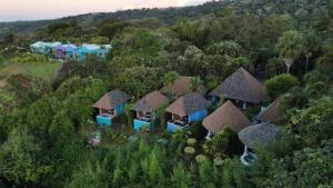 阿拉胡埃拉香达利度假酒店&Spa的丛林中度假村的空中景观