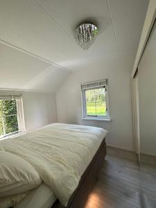 皮滕Bungalow Veluws Vertoeven的一间卧室配有一张大床和一个吊灯。