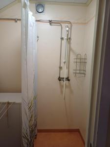 基律纳Kiruna accommodation Gustaf wikmansgatan 6b (6 pers appartment)的带淋浴和浴帘的浴室
