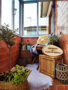 希洪El Hogarin de Veronica的阳台种有植物,设有长凳和窗户。