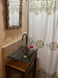 蒂诺加斯塔El Cortijo Tinogasta的一间带水槽和淋浴帘的浴室