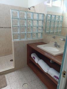 巴亚尔塔港Casa las Flores的一间带水槽和镜子的浴室
