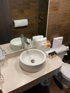 墨西哥城卡特迪尔酒店的一间带水槽、卫生间和镜子的浴室