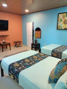 巴亚尔塔港Casa las Flores的一间设有两张床和电视的客房