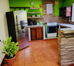 莫约加尔帕Hostal Casa Mauro的厨房设有绿色的墙壁和冰箱。