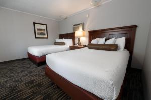 乔治湖斯科蒂湖滨度假酒店的酒店客房,设有两张床和一盏灯