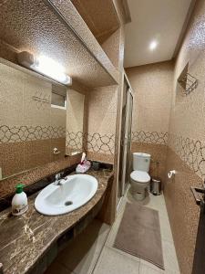 马拉喀什Appartement de luxe Marrakech Menara的一间带水槽和卫生间的浴室