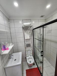 伊斯坦布尔sea star duran apart的一间带卫生间和水槽的小浴室