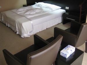 蒂米什瓦拉德派克酒店的卧室配有一张床和一张桌子及椅子
